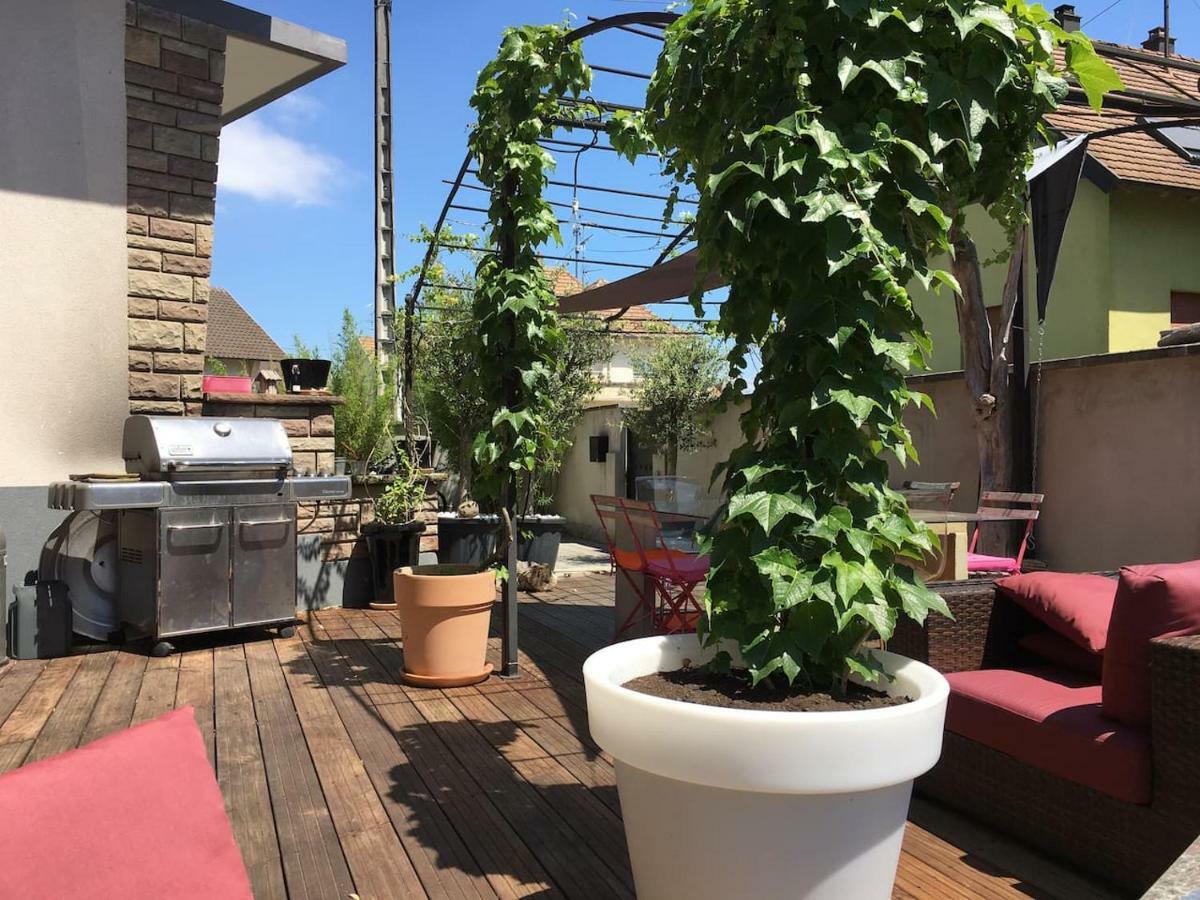 La Terrasse Selestadienne Sélestat Buitenkant foto