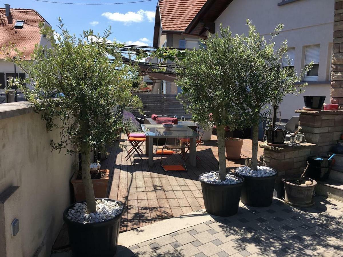 La Terrasse Selestadienne Sélestat Buitenkant foto